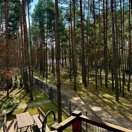 Domek W Lesie Nad Zalewem Chancza 外观 照片